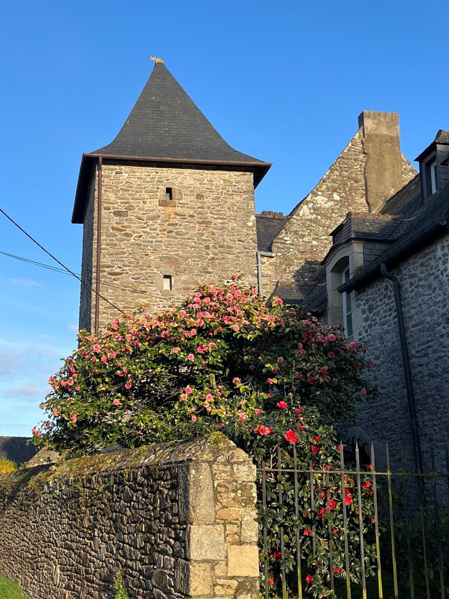 Manoir Des Bords De Rance Bed and Breakfast Plouër-sur-Rance Eksteriør billede
