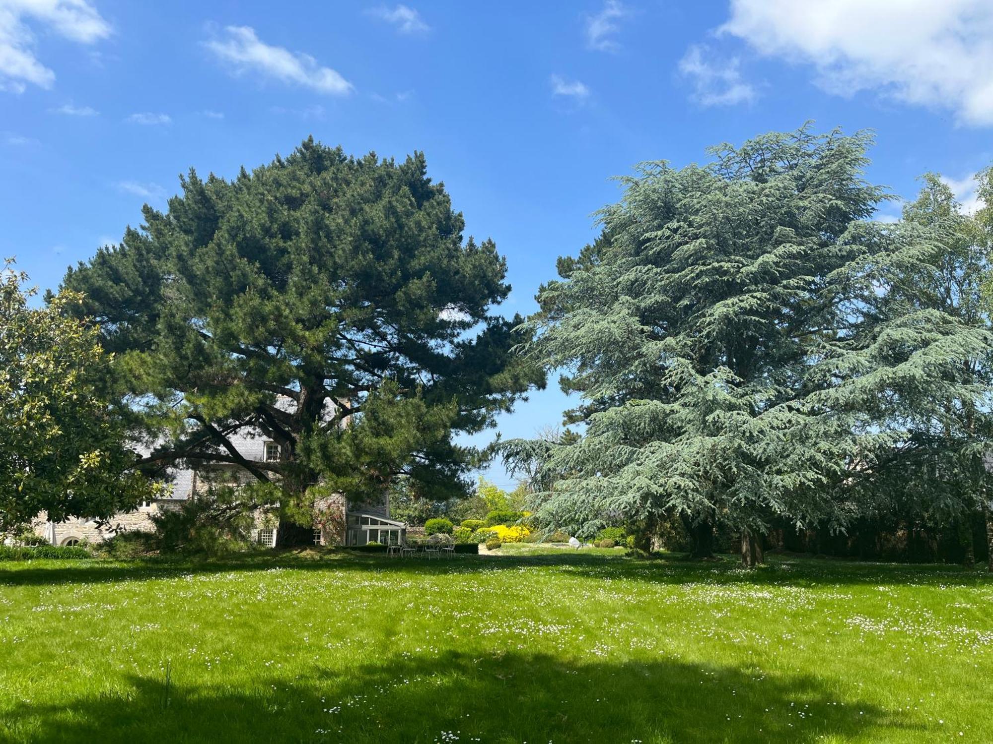 Manoir Des Bords De Rance Bed and Breakfast Plouër-sur-Rance Eksteriør billede