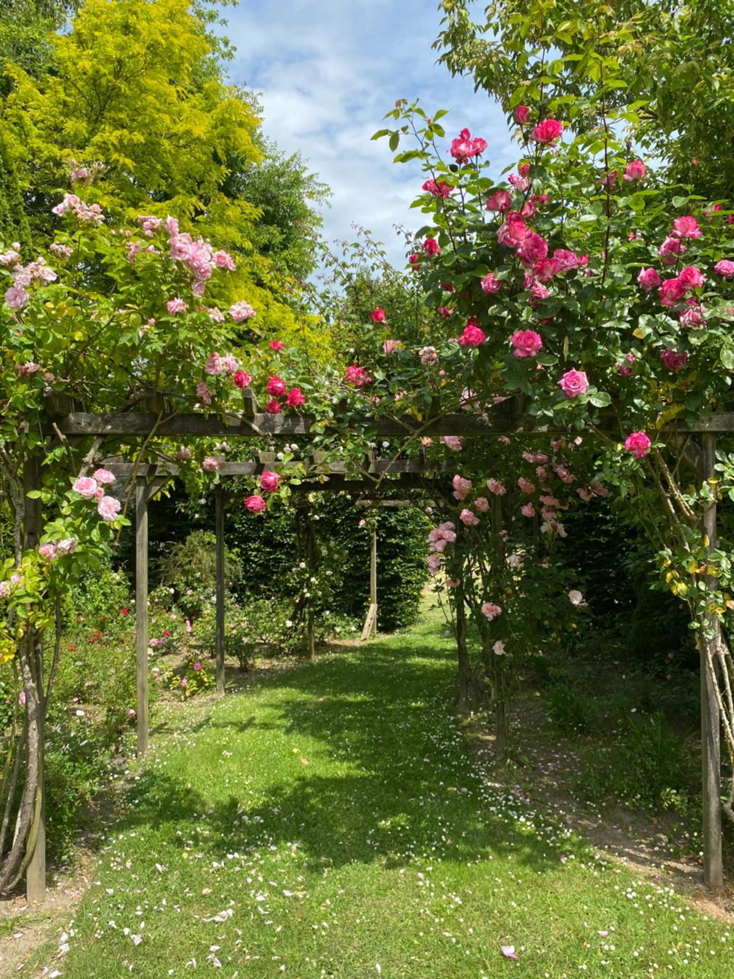 Manoir Des Bords De Rance Bed and Breakfast Plouër-sur-Rance Eksteriør billede