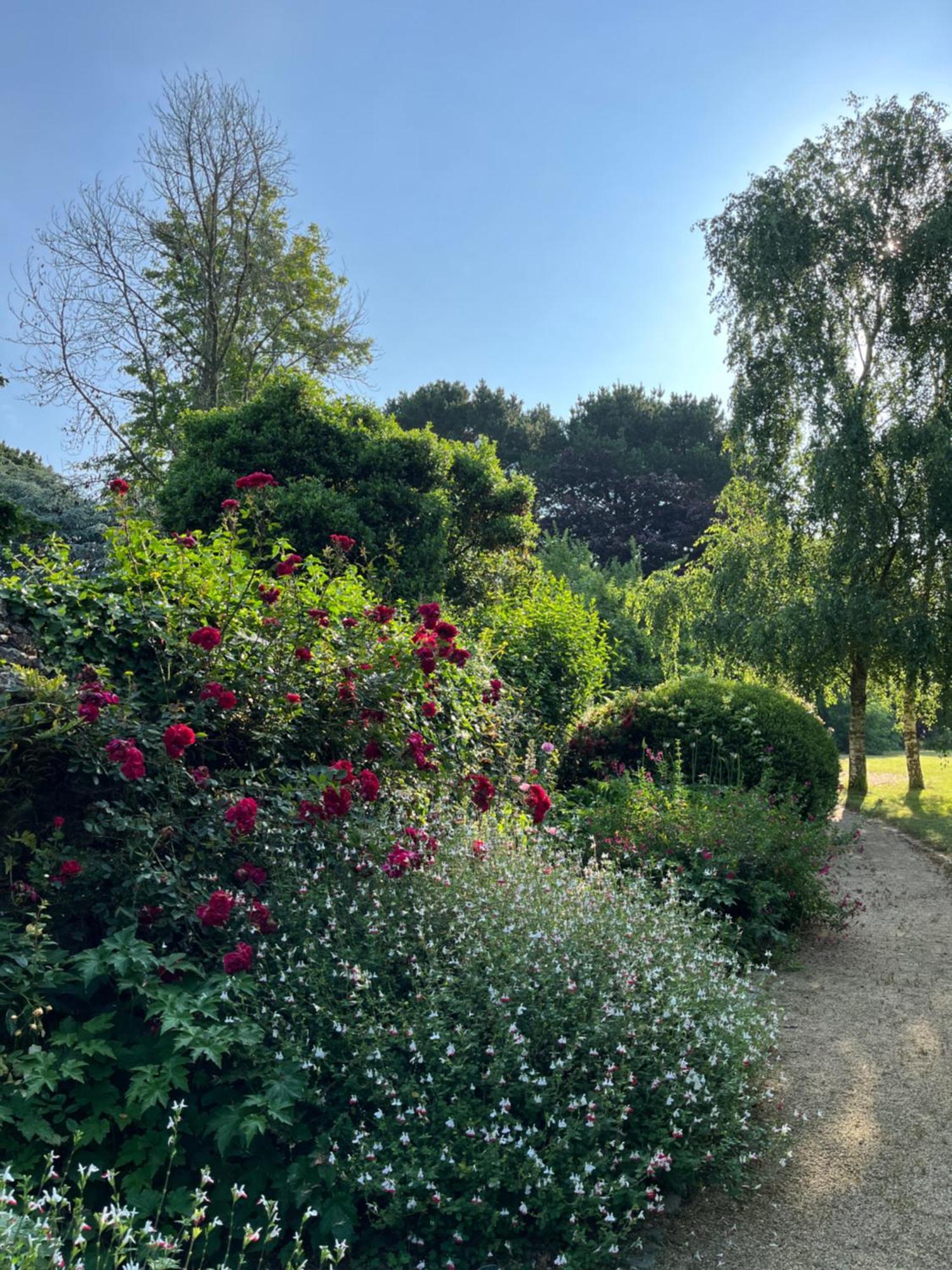 Manoir Des Bords De Rance Bed and Breakfast Plouër-sur-Rance Eksteriør billede